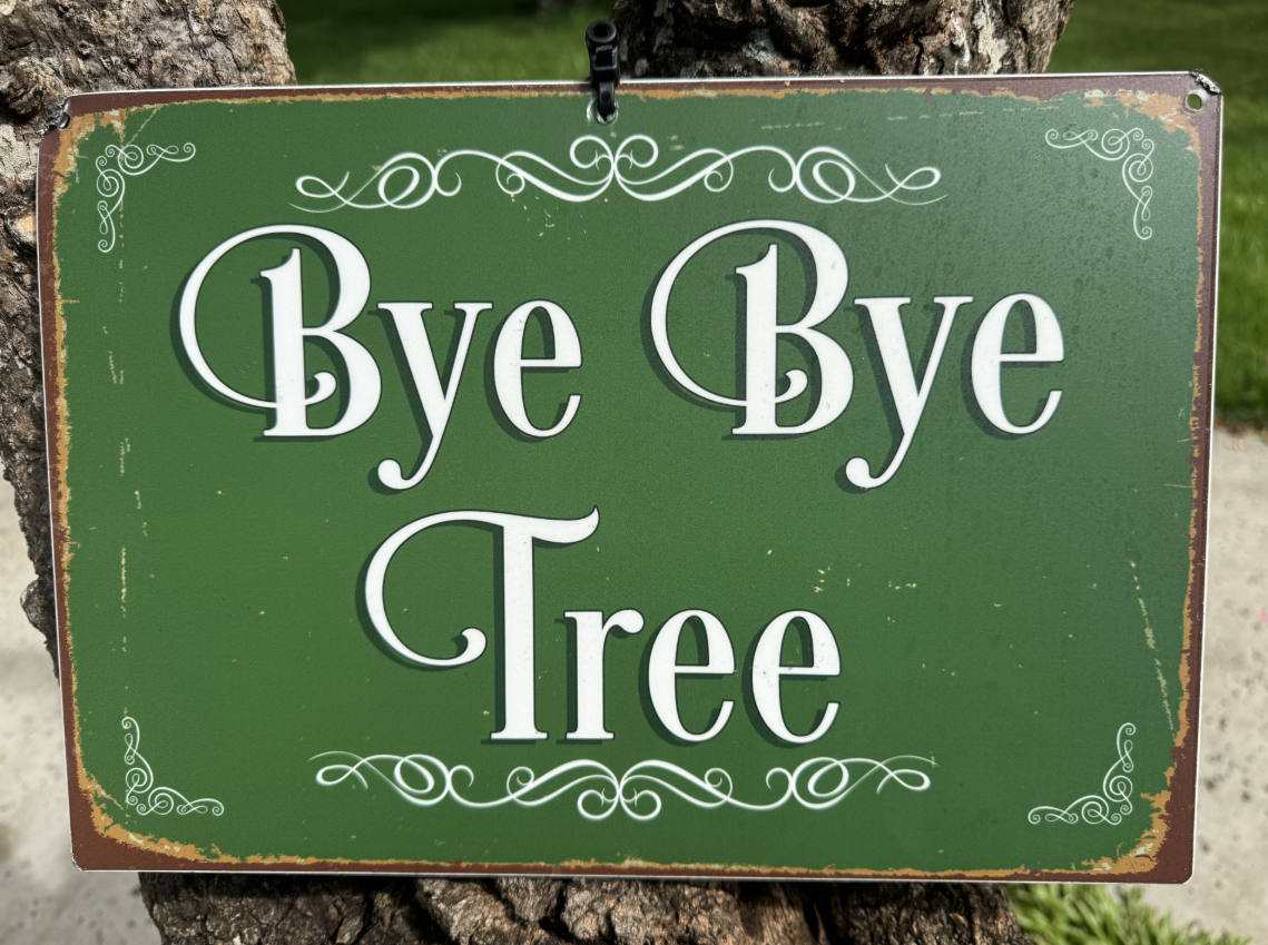 Bye Bye Tree